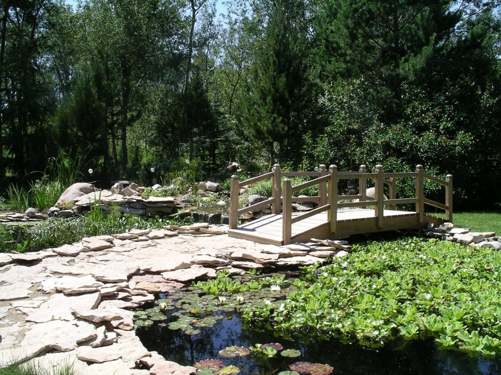 Gallery Grandora Aquatics