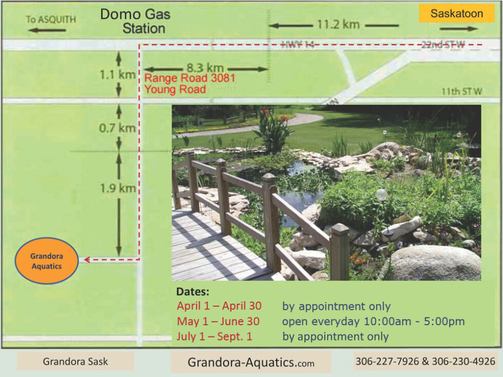 Contact Us Grandora Aquatics